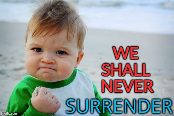 proud baby | WE 
SHALL 
NEVER SURRENDER | image tagged in proud baby | made w/ Imgflip meme maker