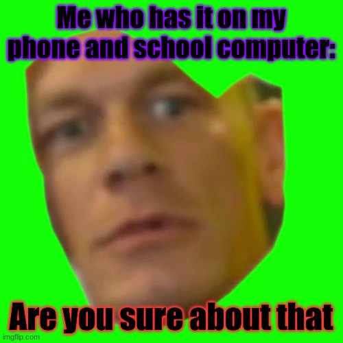 ARE YOU SURE ABOUT THAT | Me who has it on my phone and school computer: Are you sure about that | image tagged in are you sure about that | made w/ Imgflip meme maker