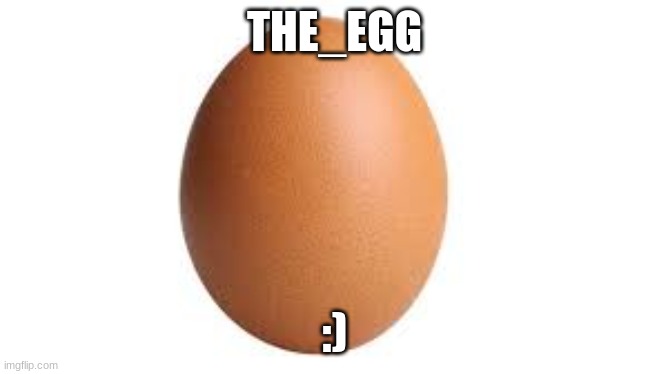 plz follow me | THE_EGG; :) | image tagged in eggs,egg | made w/ Imgflip meme maker