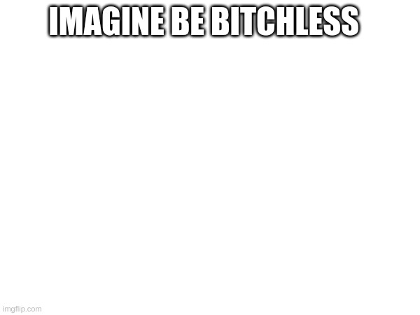 he like me | IMAGINE BE BITCHLESS | image tagged in no bitches,haha | made w/ Imgflip meme maker
