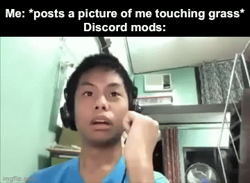 Scary! | Me: *posts a picture of me touching grass*
Discord mods: | image tagged in gifs,itsbarf | made w/ Imgflip video-to-gif maker