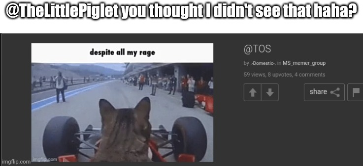 @TheLittlePiglet you thought I didn't see that haha? | made w/ Imgflip meme maker