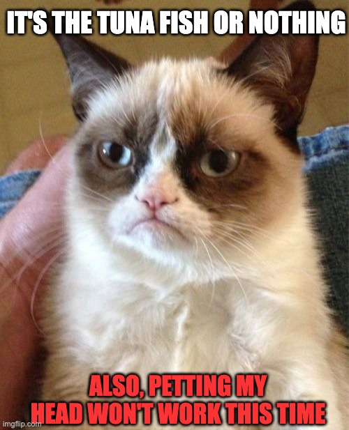 it's either this or nothing | IT'S THE TUNA FISH OR NOTHING; ALSO, PETTING MY HEAD WON'T WORK THIS TIME | image tagged in memes,grumpy cat | made w/ Imgflip meme maker