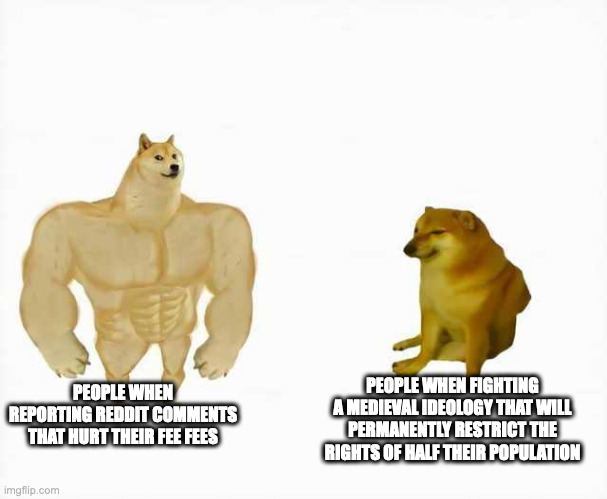 Strong dog vs weak dog | PEOPLE WHEN REPORTING REDDIT COMMENTS THAT HURT THEIR FEE FEES; PEOPLE WHEN FIGHTING A MEDIEVAL IDEOLOGY THAT WILL PERMANENTLY RESTRICT THE RIGHTS OF HALF THEIR POPULATION | image tagged in strong dog vs weak dog | made w/ Imgflip meme maker