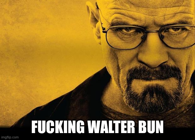 Breaking bad | FUCKING WALTER BUN | image tagged in breaking bad | made w/ Imgflip meme maker