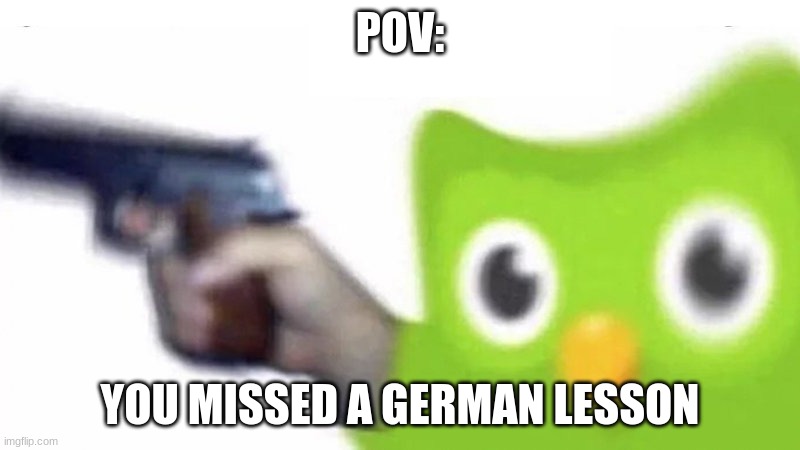 duolingo gun | POV:; YOU MISSED A GERMAN LESSON | image tagged in duolingo gun | made w/ Imgflip meme maker