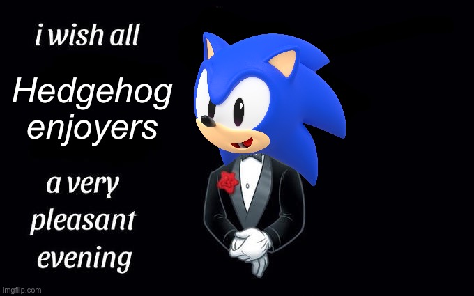 Hello | Hedgehog enjoyers | image tagged in i wish all the x a very pleasant evening | made w/ Imgflip meme maker