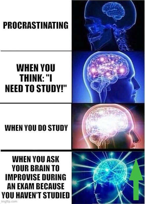 brain improvisation | PROCRASTINATING; WHEN YOU THINK: "I NEED TO STUDY!"; WHEN YOU DO STUDY; WHEN YOU ASK YOUR BRAIN TO IMPROVISE DURING AN EXAM BECAUSE YOU HAVEN'T STUDIED | image tagged in memes,expanding brain,school,smart,studying | made w/ Imgflip meme maker