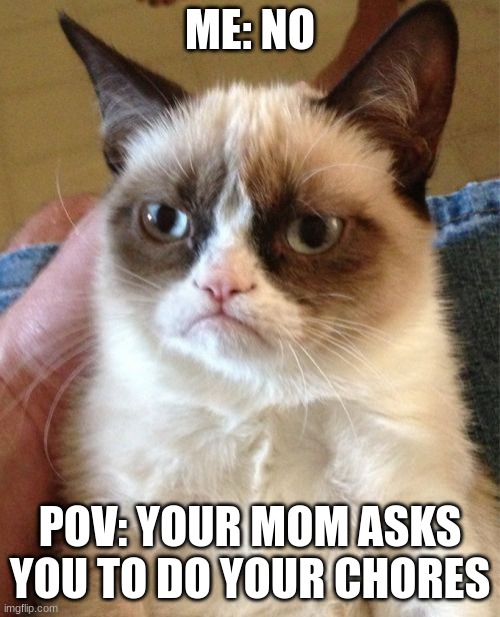 Grumpy Cat Meme | ME: NO; POV: YOUR MOM ASKS YOU TO DO YOUR CHORES | image tagged in memes,grumpy cat | made w/ Imgflip meme maker