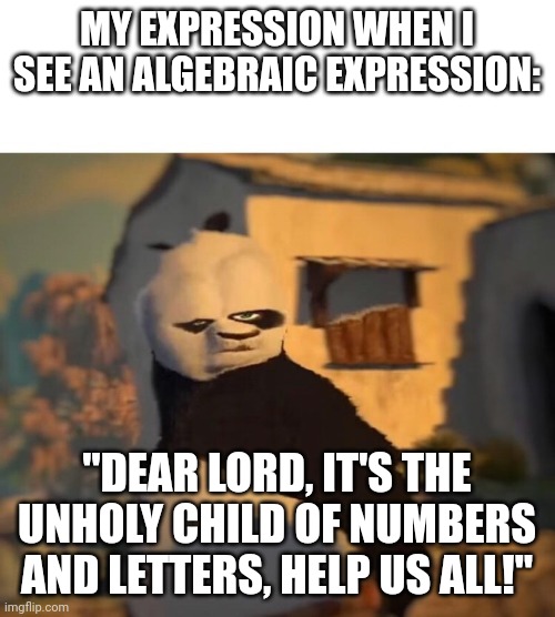 Why algebra is an abomination | MY EXPRESSION WHEN I SEE AN ALGEBRAIC EXPRESSION:; "DEAR LORD, IT'S THE UNHOLY CHILD OF NUMBERS AND LETTERS, HELP US ALL!" | image tagged in drunk kung fu panda | made w/ Imgflip meme maker