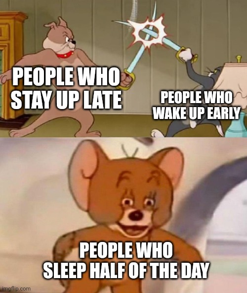 I have an insane sibling | PEOPLE WHO STAY UP LATE; PEOPLE WHO WAKE UP EARLY; PEOPLE WHO SLEEP HALF OF THE DAY | image tagged in tom and jerry swordfight,memes,funny,sleep | made w/ Imgflip meme maker