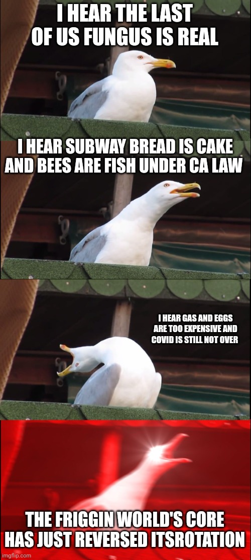 Seagull panic over the Earth's core reversing it's spin | I HEAR THE LAST OF US FUNGUS IS REAL; I HEAR SUBWAY BREAD IS CAKE AND BEES ARE FISH UNDER CA LAW; I HEAR GAS AND EGGS ARE TOO EXPENSIVE AND COVID IS STILL NOT OVER; THE FRIGGIN WORLD'S CORE HAS JUST REVERSED ITSROTATION | image tagged in memes,inhaling seagull | made w/ Imgflip meme maker