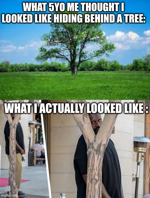 You're not sneaky buddy | WHAT 5YO ME THOUGHT I LOOKED LIKE HIDING BEHIND A TREE:; WHAT I ACTUALLY LOOKED LIKE : | image tagged in shaq hiding,young,children,childhood | made w/ Imgflip meme maker