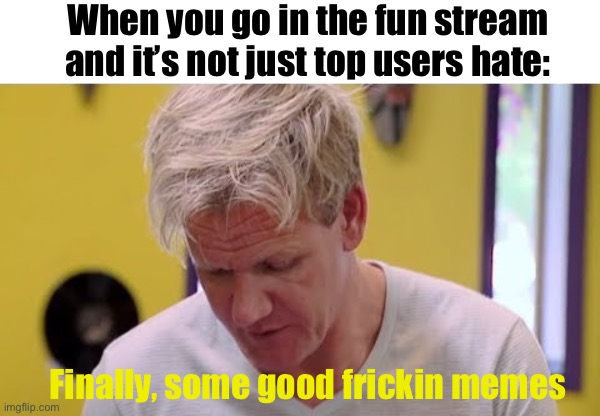 Finally, inner peace | When you go in the fun stream and it’s not just top users hate:; Finally, some good frickin memes | image tagged in finally some good food,certified bruh moment,why are you reading the tags | made w/ Imgflip meme maker