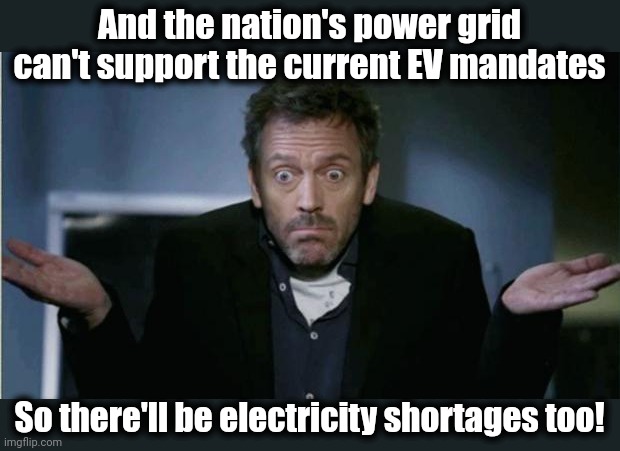 SHRUG | And the nation's power grid can't support the current EV mandates So there'll be electricity shortages too! | image tagged in shrug | made w/ Imgflip meme maker