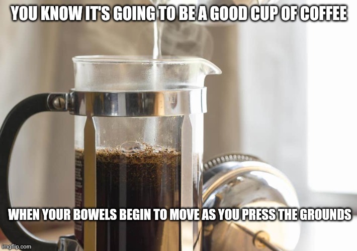 French Press | YOU KNOW IT'S GOING TO BE A GOOD CUP OF COFFEE; WHEN YOUR BOWELS BEGIN TO MOVE AS YOU PRESS THE GROUNDS | image tagged in french press | made w/ Imgflip meme maker