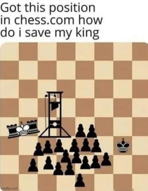 image tagged in funny,repost,memes,chess,fun,king | made w/ Imgflip meme maker