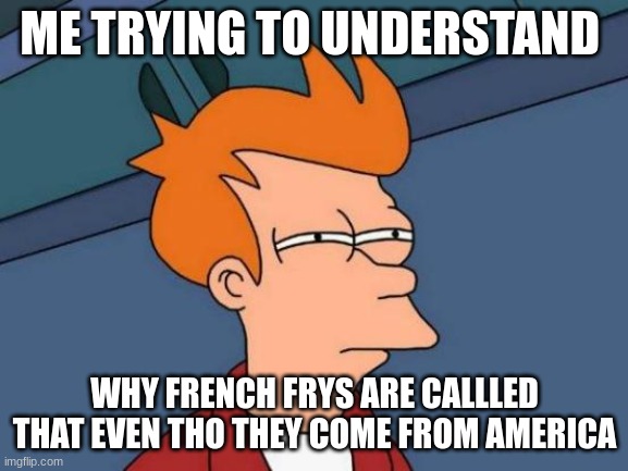 Futurama Fry | ME TRYING TO UNDERSTAND; WHY FRENCH FRYS ARE CALLLED THAT EVEN THO THEY COME FROM AMERICA | image tagged in memes,futurama fry | made w/ Imgflip meme maker