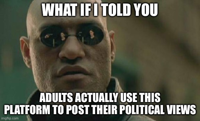 Matrix Morpheus Meme | WHAT IF I TOLD YOU; ADULTS ACTUALLY USE THIS PLATFORM TO POST THEIR POLITICAL VIEWS | image tagged in memes,matrix morpheus | made w/ Imgflip meme maker