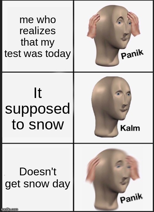 me = right now :( | me who realizes that my test was today; It supposed to snow; Doesn't get snow day | image tagged in memes,panik kalm panik,test,snow day,school | made w/ Imgflip meme maker