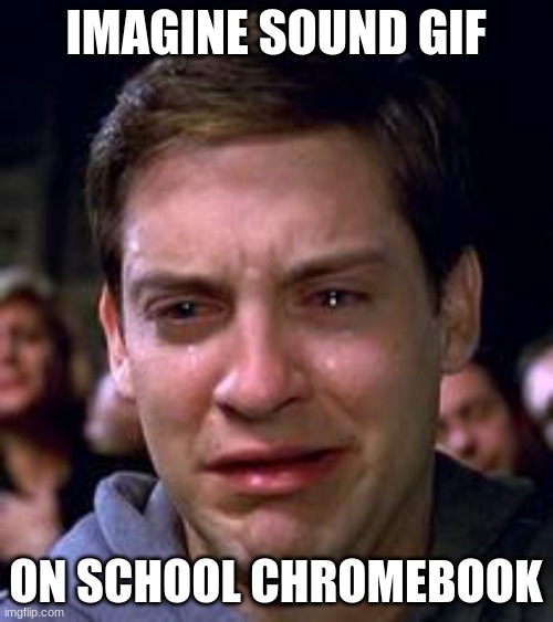 IMAGINE SOUND GIF ON SCHOOL CHROMEBOOK | image tagged in peter parker crying | made w/ Imgflip meme maker