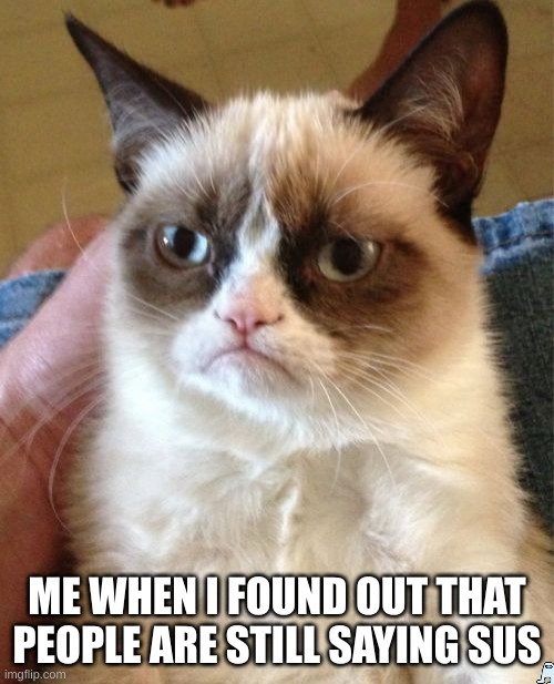 Grumpy Cat | ME WHEN I FOUND OUT THAT PEOPLE ARE STILL SAYING SUS | image tagged in memes,grumpy cat | made w/ Imgflip meme maker