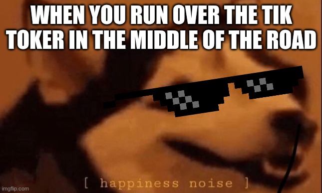 I had to | WHEN YOU RUN OVER THE TIK TOKER IN THE MIDDLE OF THE ROAD | image tagged in happiness noise | made w/ Imgflip meme maker