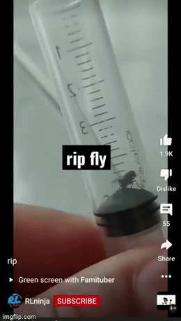 rip fly - Imgflip