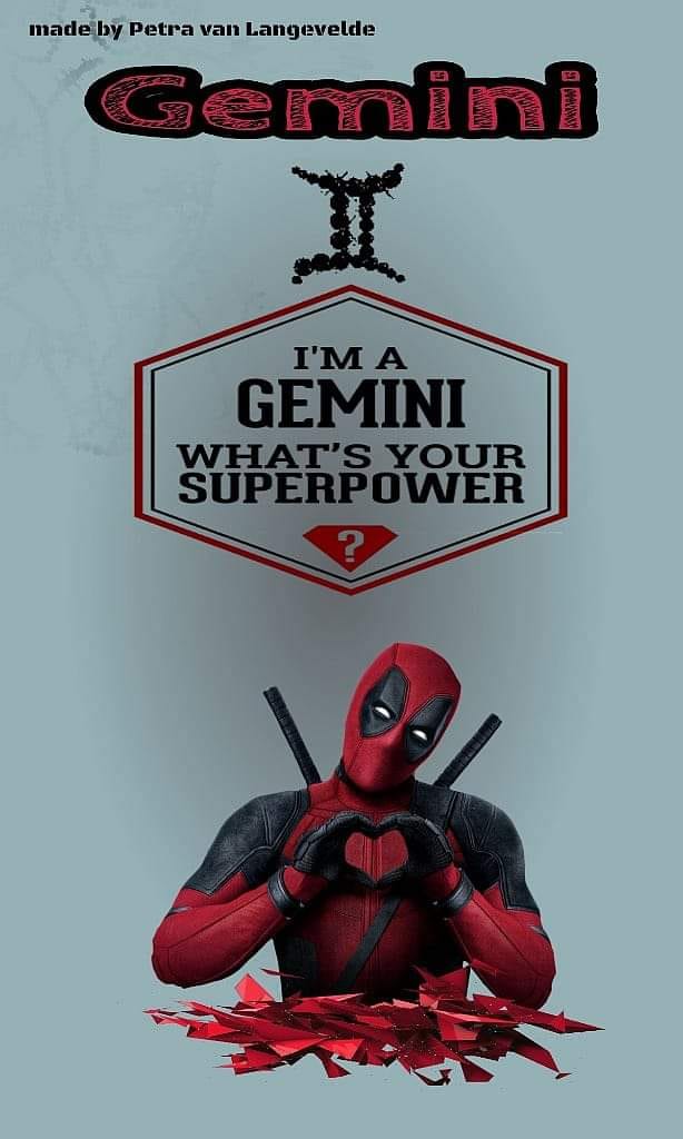 High Quality Gemini funny Blank Meme Template