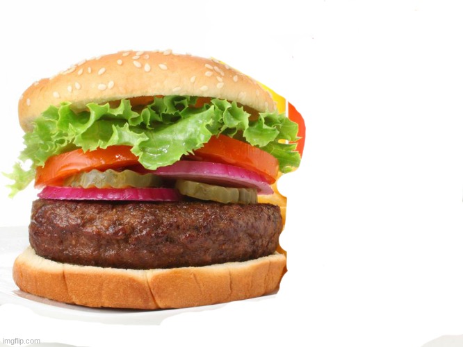 Hamburger  | image tagged in hamburger | made w/ Imgflip meme maker
