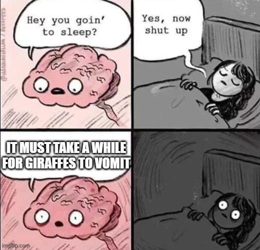 Shower thoughts in bed lol | IT MUST TAKE A WHILE FOR GIRAFFES TO VOMIT | image tagged in waking up brain,giraffe | made w/ Imgflip meme maker