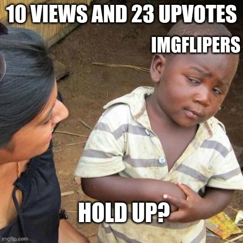 How | 10 VIEWS AND 23 UPVOTES; IMGFLIPERS; HOLD UP? | image tagged in fun | made w/ Imgflip meme maker