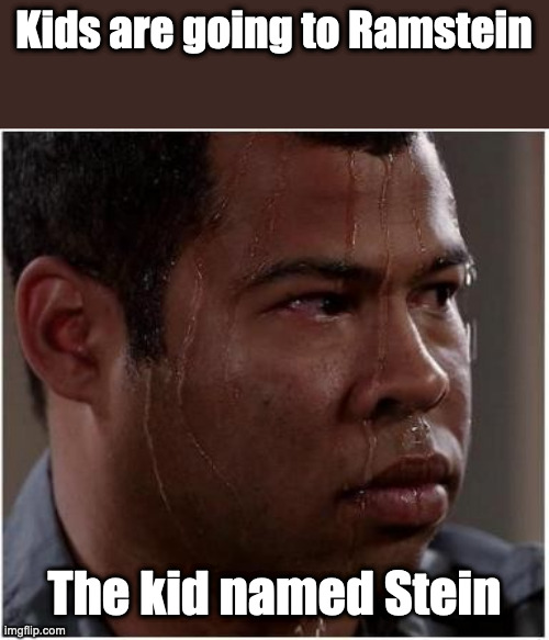 Du hast nicht gefragt wo die context ist | Kids are going to Ramstein; The kid named Stein | image tagged in ebony is worried | made w/ Imgflip meme maker