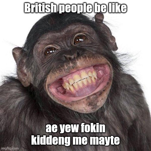 British people be like: | British people be like; ae yew fokin kiddeng me mayte | image tagged in memes,monkey,british | made w/ Imgflip meme maker