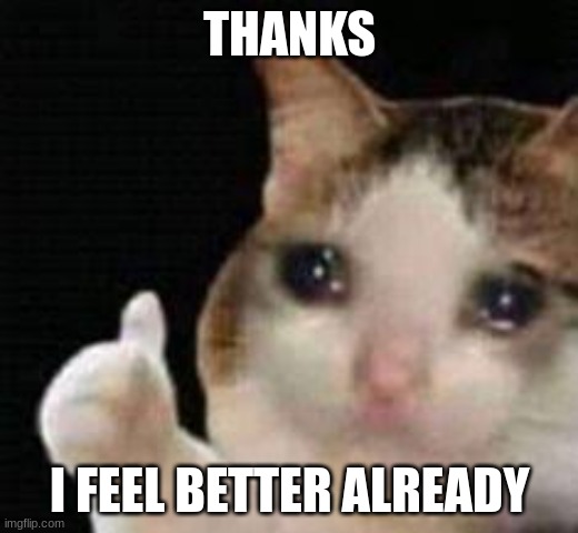 Approved crying cat | THANKS I FEEL BETTER ALREADY | image tagged in approved crying cat | made w/ Imgflip meme maker