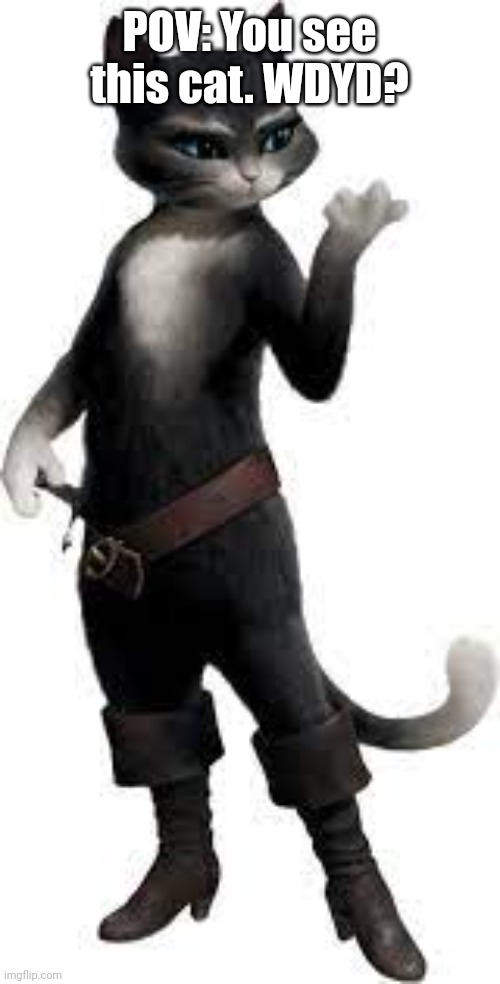 "Not my OC" "Credit to Dreamworks" and all that stuff | POV: You see this cat. WDYD? | image tagged in kitty softpaws | made w/ Imgflip meme maker