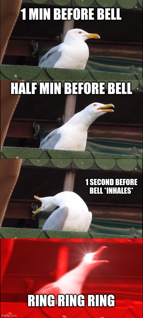 Inhaling Seagull Meme | 1 MIN BEFORE BELL; HALF MIN BEFORE BELL; 1 SECOND BEFORE BELL *INHALES*; RING RING RING | image tagged in memes,inhaling seagull | made w/ Imgflip meme maker