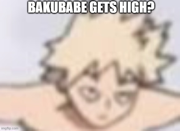 bakubabe gets high? | BAKUBABE GETS HIGH? | image tagged in what in the plus ultra | made w/ Imgflip meme maker