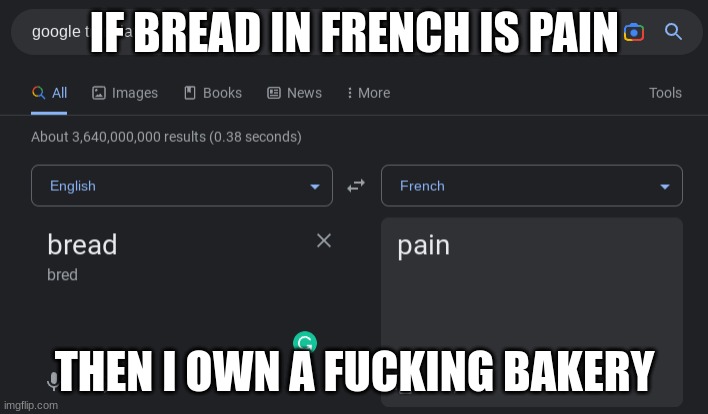 IF BREAD IN FRENCH IS PAIN THEN I OWN A FUCKING BAKERY | made w/ Imgflip meme maker