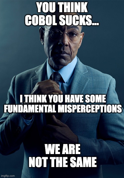 Gus Fring we are not the same | YOU THINK COBOL SUCKS... I THINK YOU HAVE SOME FUNDAMENTAL MISPERCEPTIONS; WE ARE NOT THE SAME | image tagged in gus fring we are not the same | made w/ Imgflip meme maker