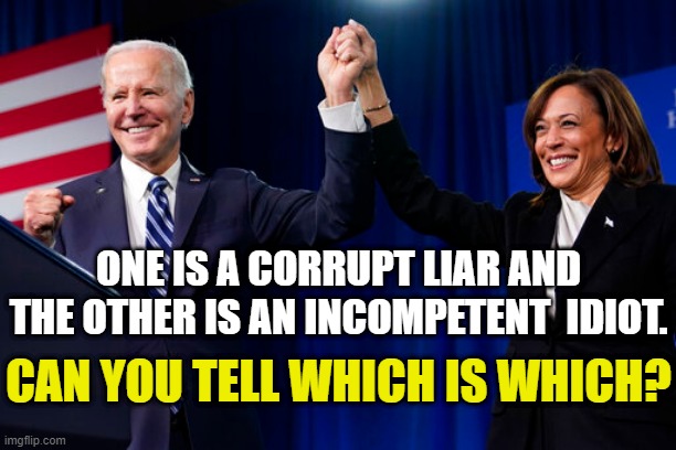 One is a corrupt liar and the other is an incompetent  idiot.  Can you tell which is which? | ONE IS A CORRUPT LIAR AND THE OTHER IS AN INCOMPETENT  IDIOT. CAN YOU TELL WHICH IS WHICH? | image tagged in political meme,corrupt democrats,biden harris,failures,liberal lunacy | made w/ Imgflip meme maker