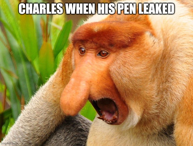 Charles when his pen leaked | CHARLES WHEN HIS PEN LEAKED | image tagged in memes,charles,pen,leak,monkey | made w/ Imgflip meme maker