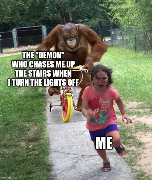 weenie | THE "DEMON" WHO CHASES ME UP THE STAIRS WHEN I TURN THE LIGHTS OFF; ME | image tagged in orangutan chasing girl on a tricycle | made w/ Imgflip meme maker