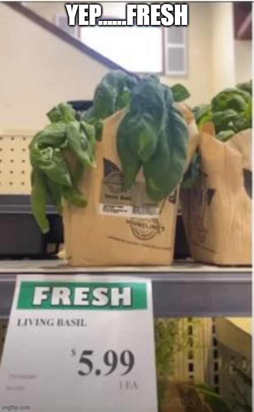 Fresh | YEP......FRESH | image tagged in you had one job | made w/ Imgflip meme maker