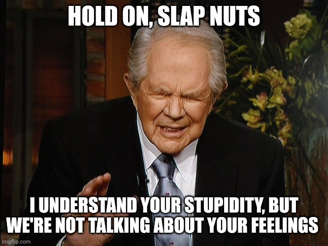 Pat Robertson | HOLD ON, SLAP NUTS; I UNDERSTAND YOUR STUPIDITY, BUT WE'RE NOT TALKING ABOUT YOUR FEELINGS | image tagged in pat robertson | made w/ Imgflip meme maker