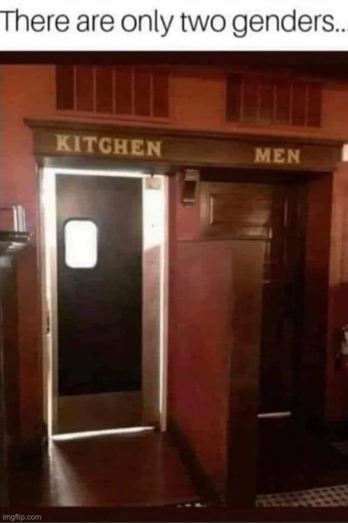 Only two genders | image tagged in bruh,lol,why are you reading this | made w/ Imgflip meme maker