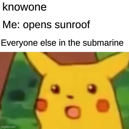 Surprised Pikachu Meme | knowone; Me: opens sunroof; Everyone else in the submarine | image tagged in memes,surprised pikachu | made w/ Imgflip meme maker