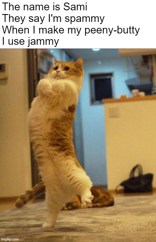Sami is so short... | The name is Sami
They say I'm spammy
When I make my peeny-butty
I use jammy | image tagged in cute cat | made w/ Imgflip meme maker