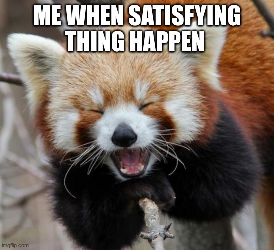 Red Panda | ME WHEN SATISFYING THING HAPPEN | image tagged in red panda | made w/ Imgflip meme maker