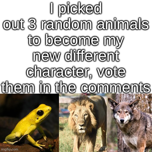 Blank Transparent Square | I picked out 3 random animals to become my new different character, vote them in the comments | image tagged in memes,blank transparent square | made w/ Imgflip meme maker